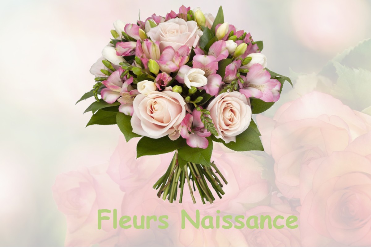 fleurs naissance TEISSIERES-DE-CORNET