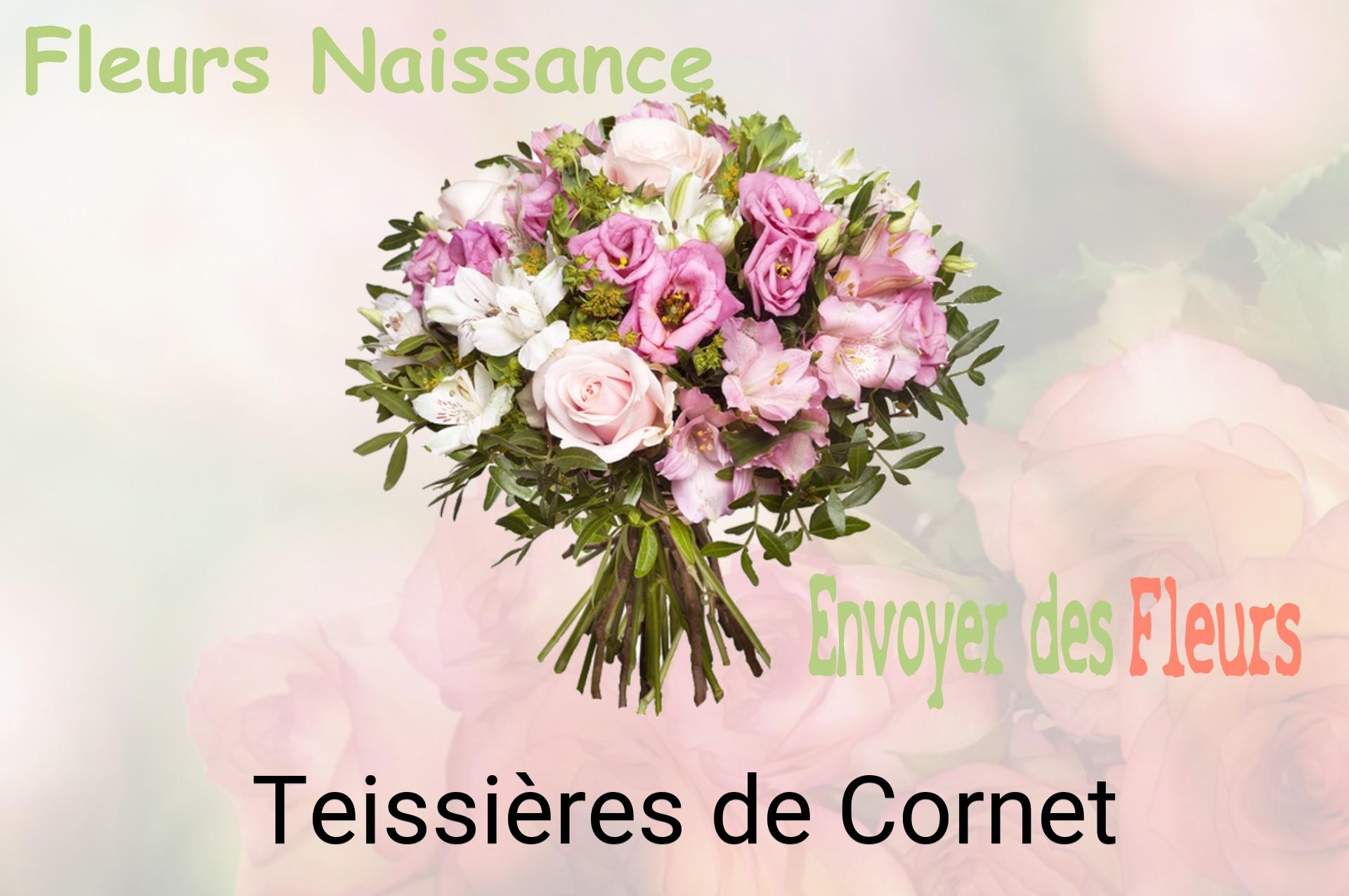 Bouquet de fleurs de naissance livré à Teissières-de-Cornet